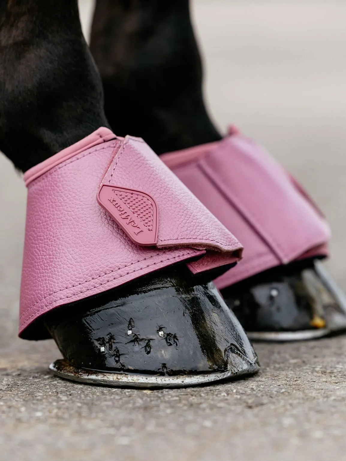 LeMieux Arika Over Reach Boots SS25
