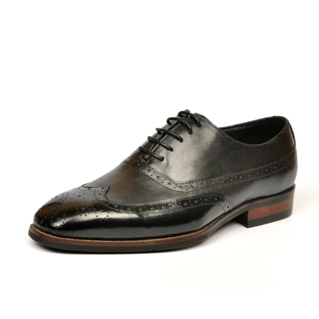 Snakara Office Luxe Brogues